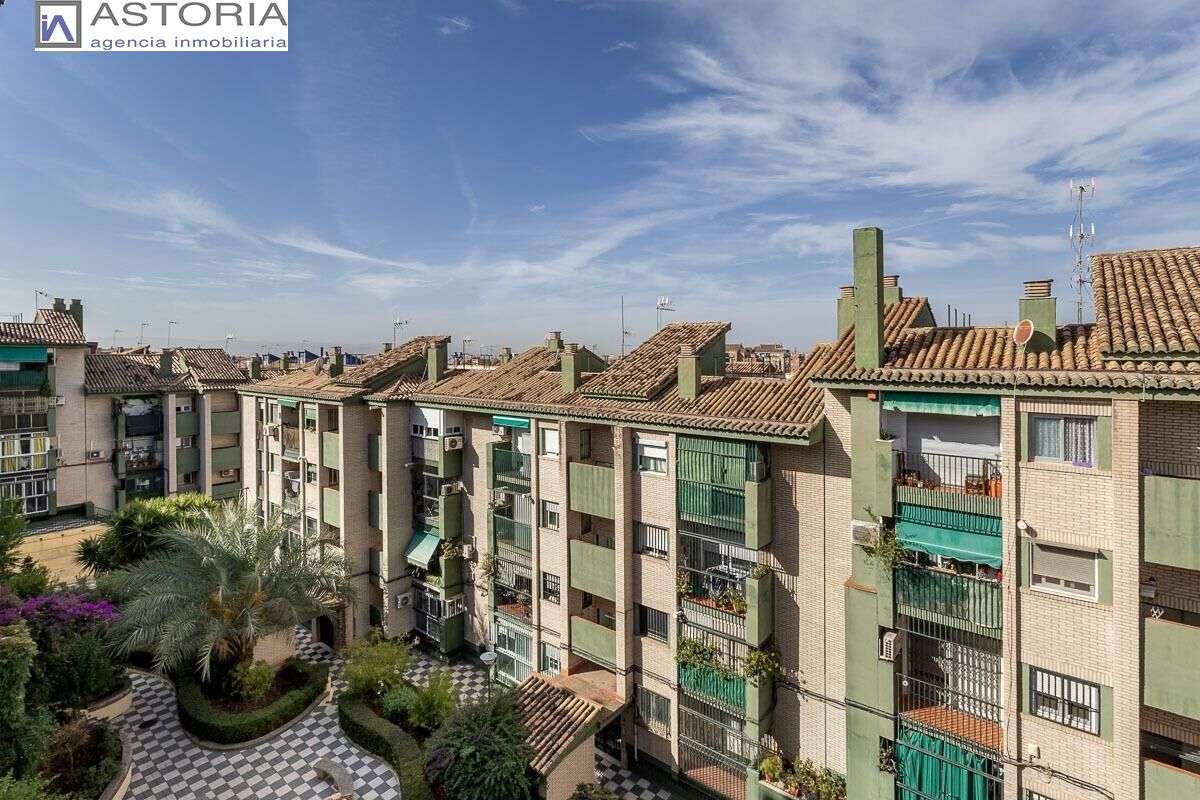 Fotografía 6