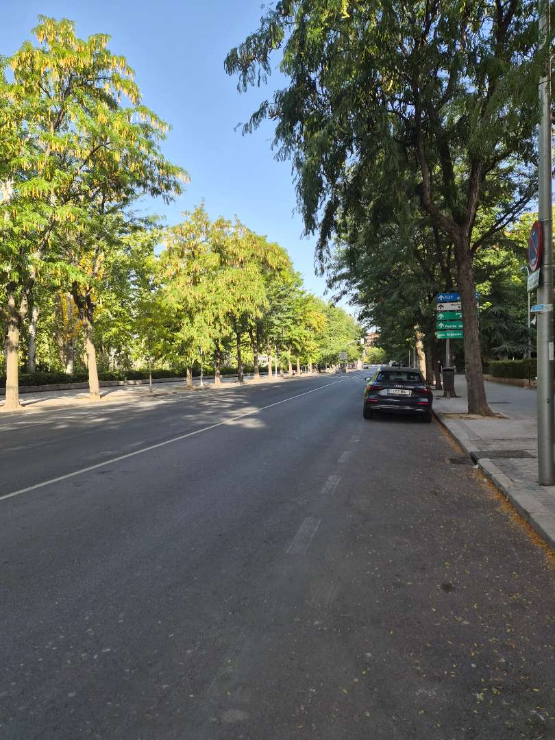 Fotografía 12