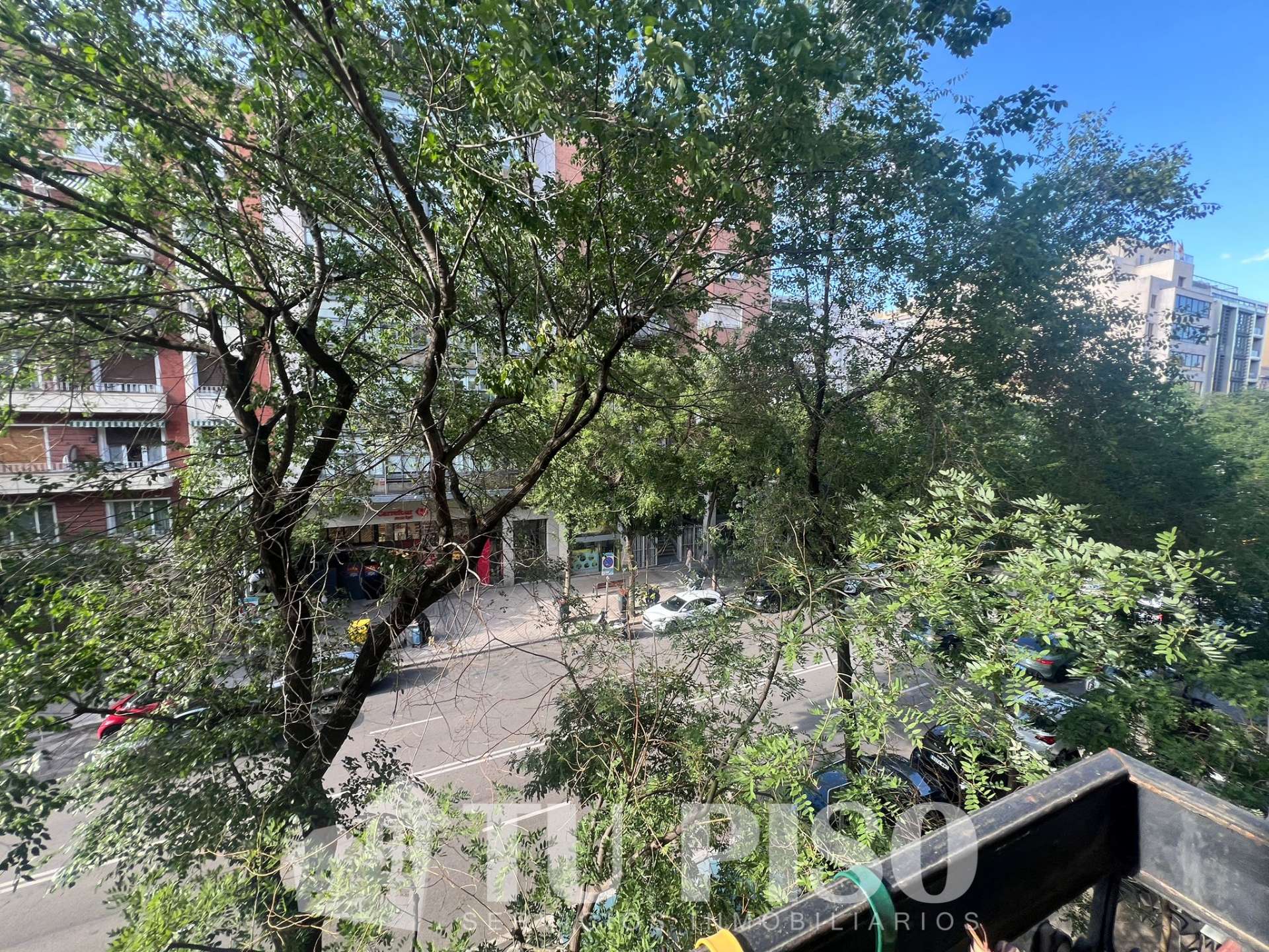 Fotografía 7