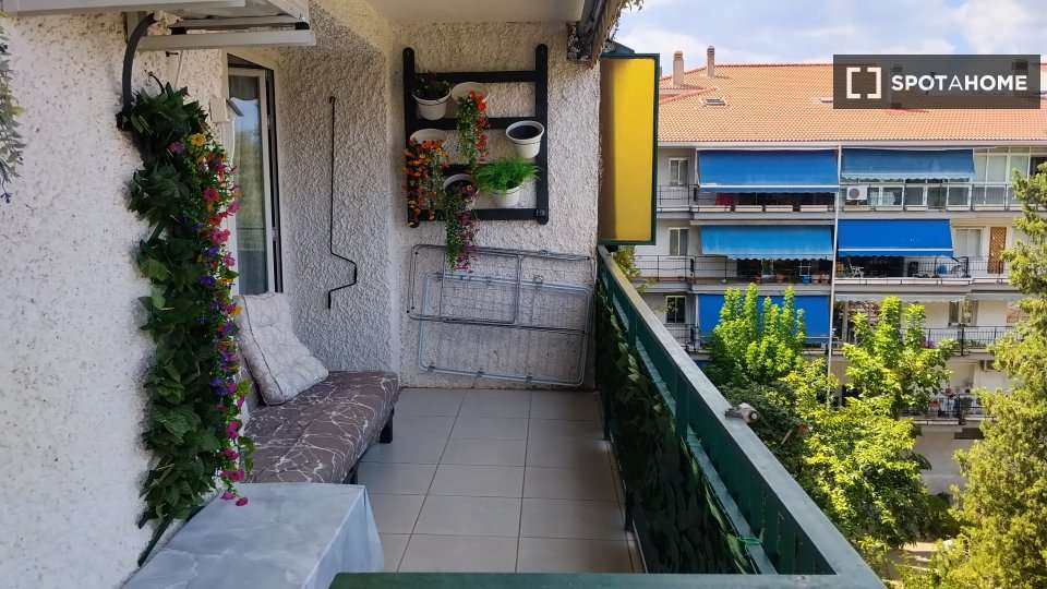 Fotografía 5