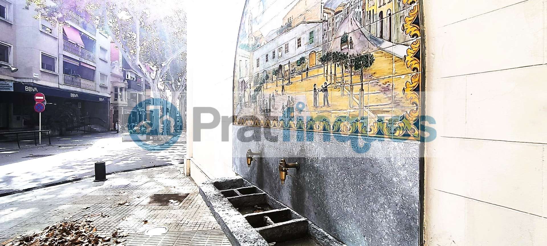 Fotografía 8