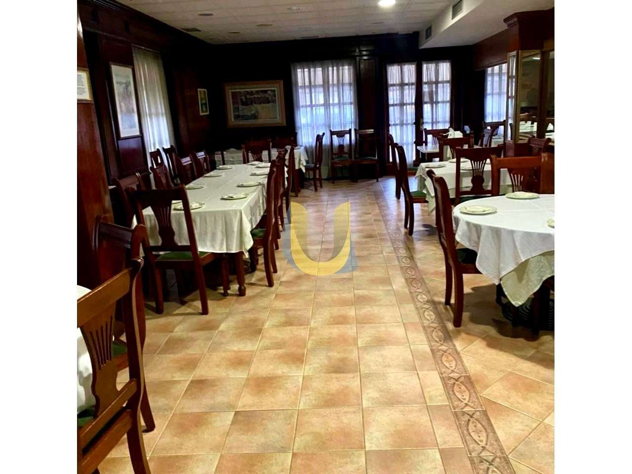 Fotografía 2