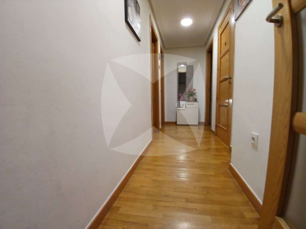 Fotografía 11
