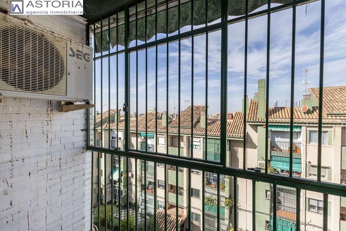 Fotografía 5