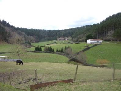 casas-en-venta-y-alquiler-en-bizkaia-provincia-comprar-vender-y