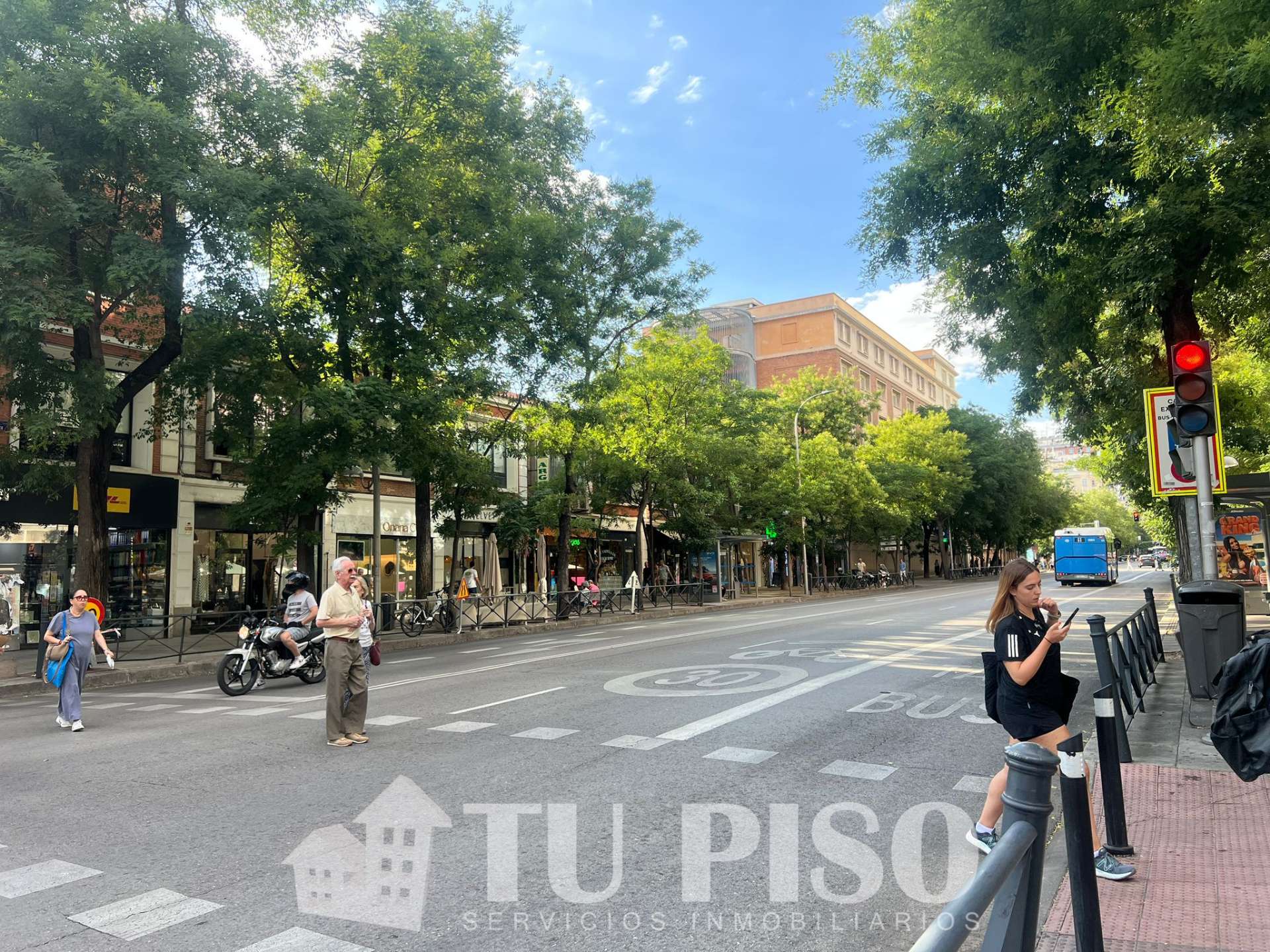 Fotografía 8