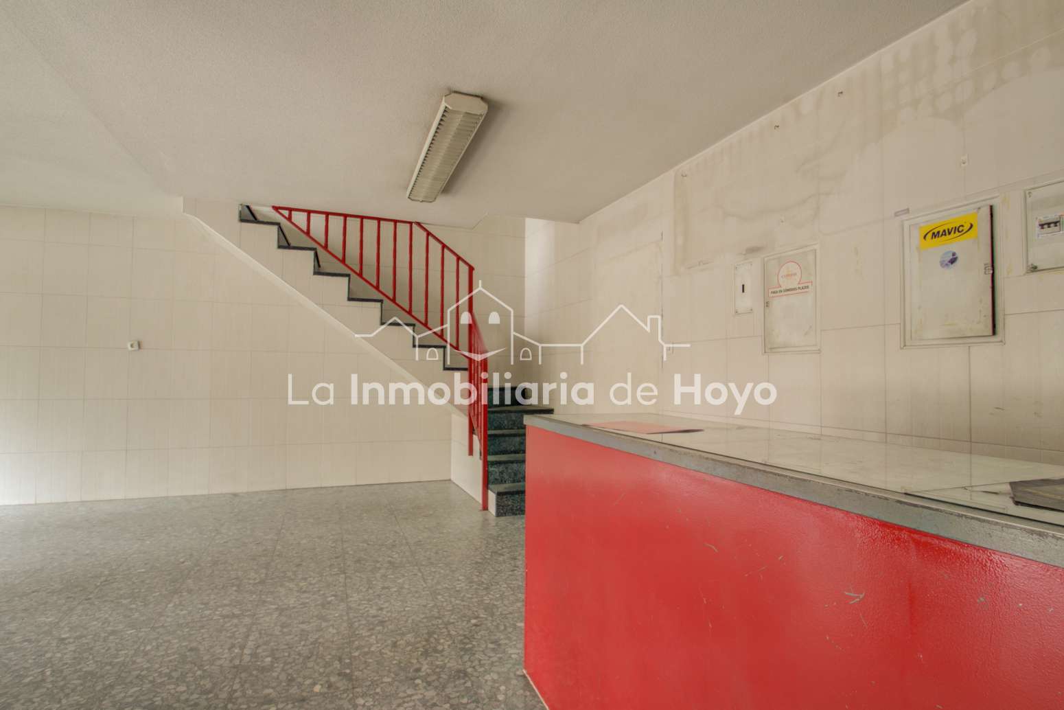 Fotografía 4