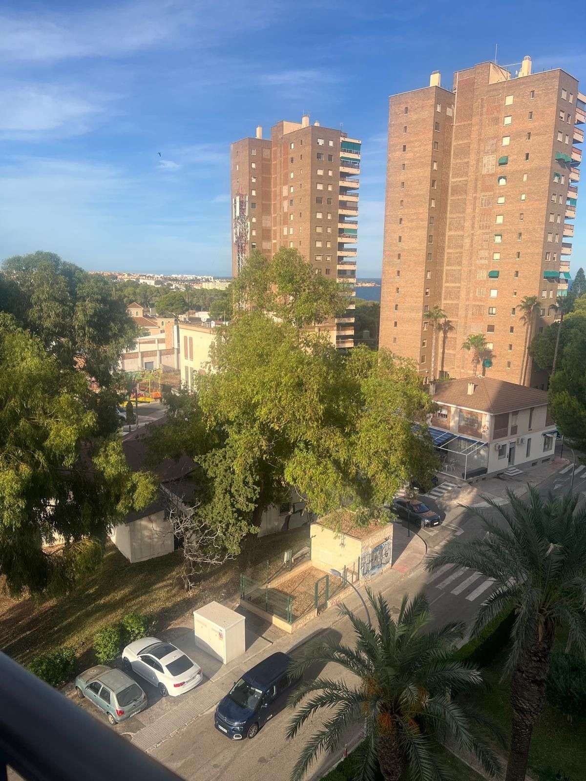 Fotografía 11
