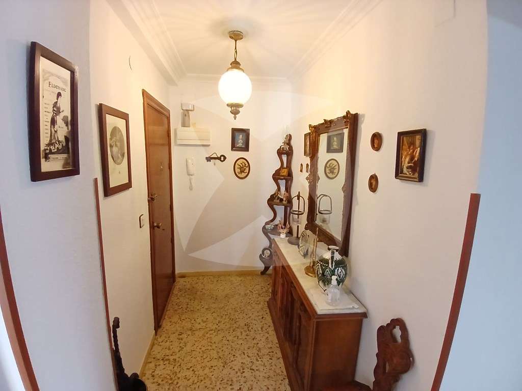 Fotografía 11