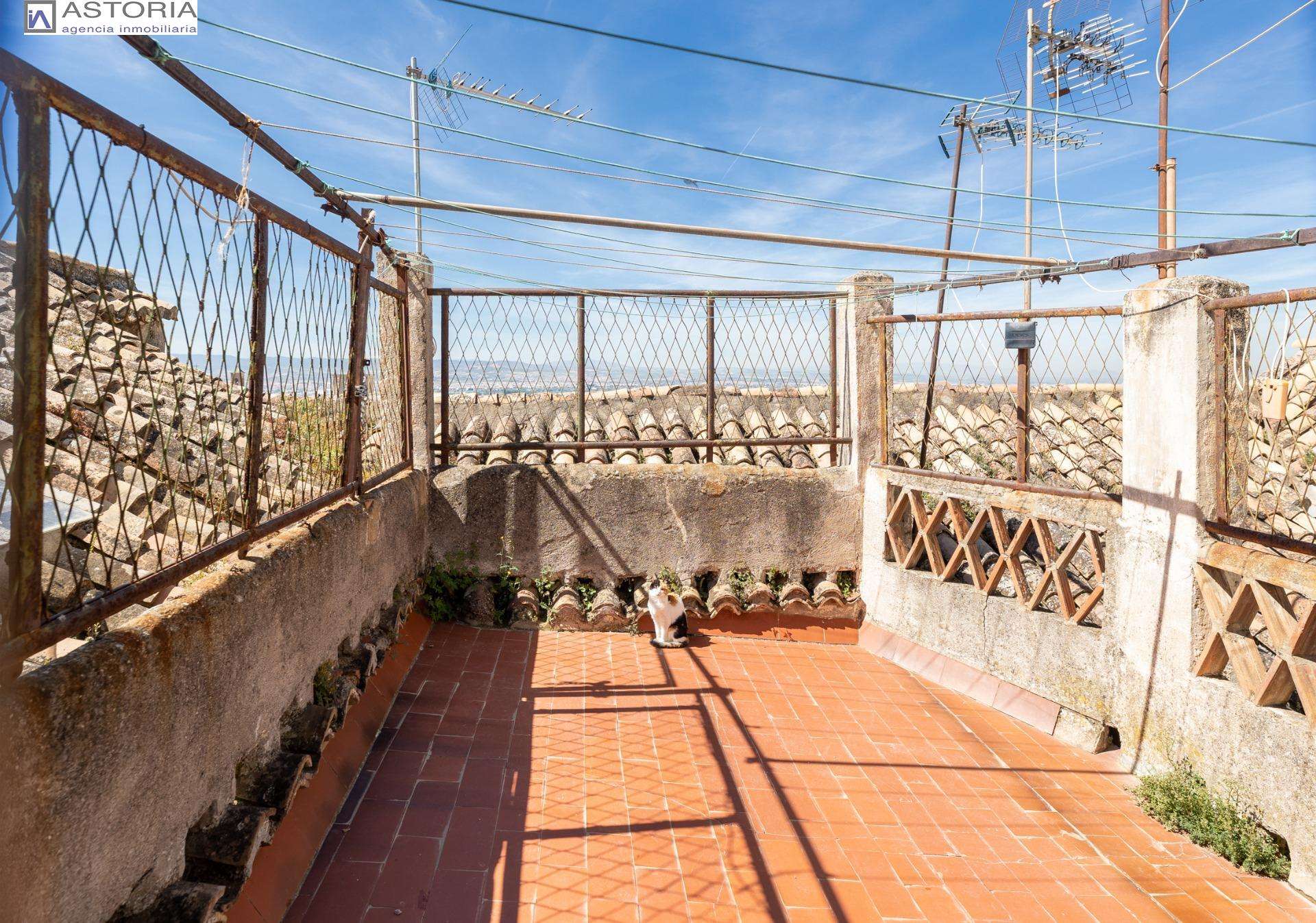 Fotografía 11