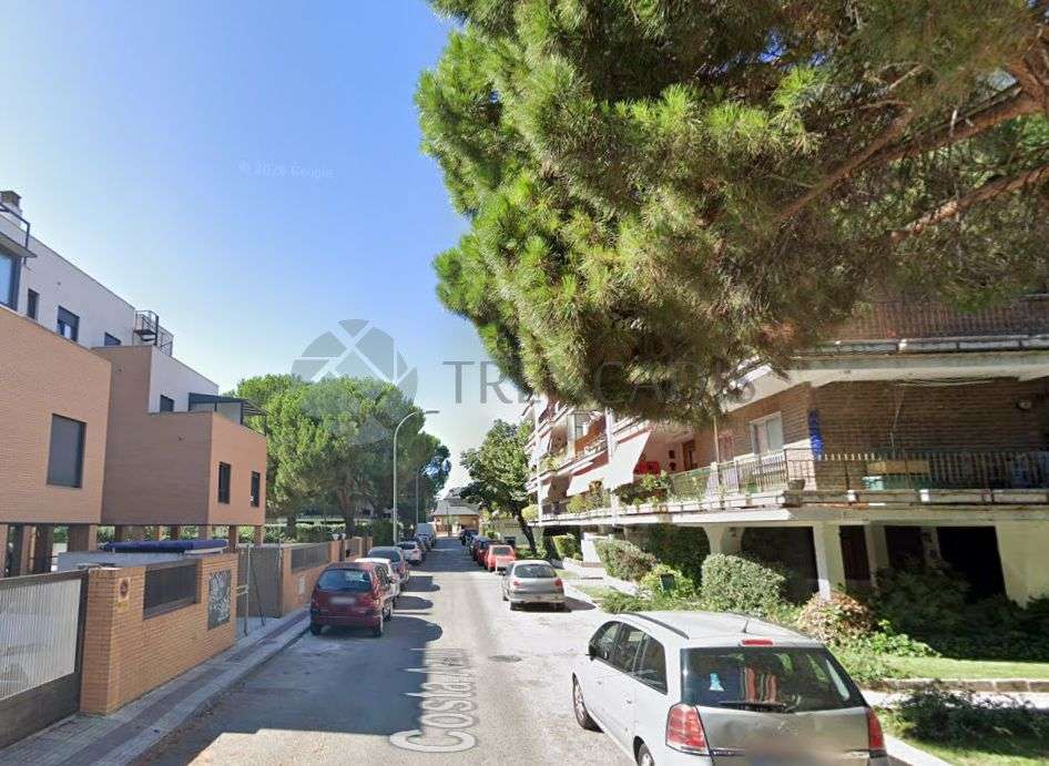 Fotografía 2