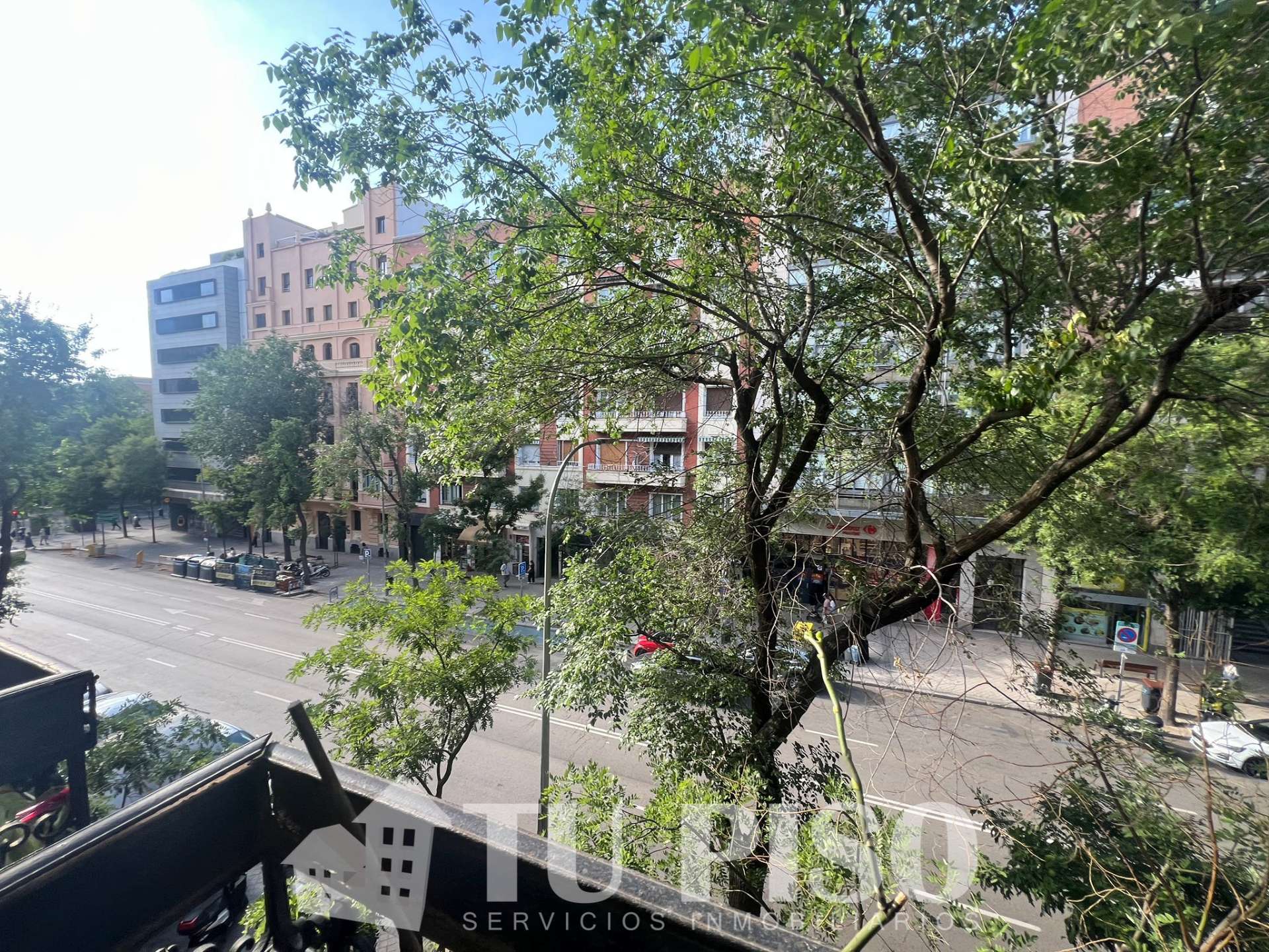Fotografía 2