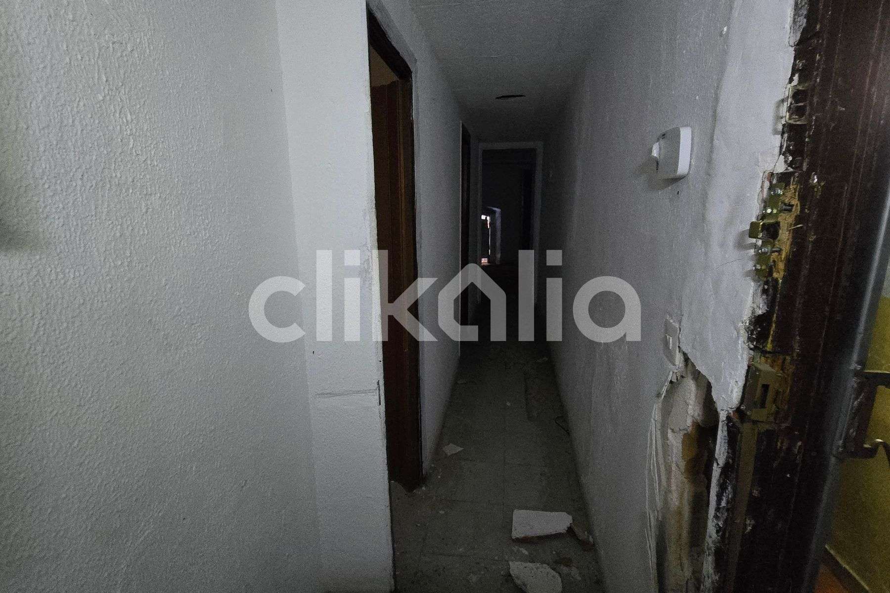Fotografía 11