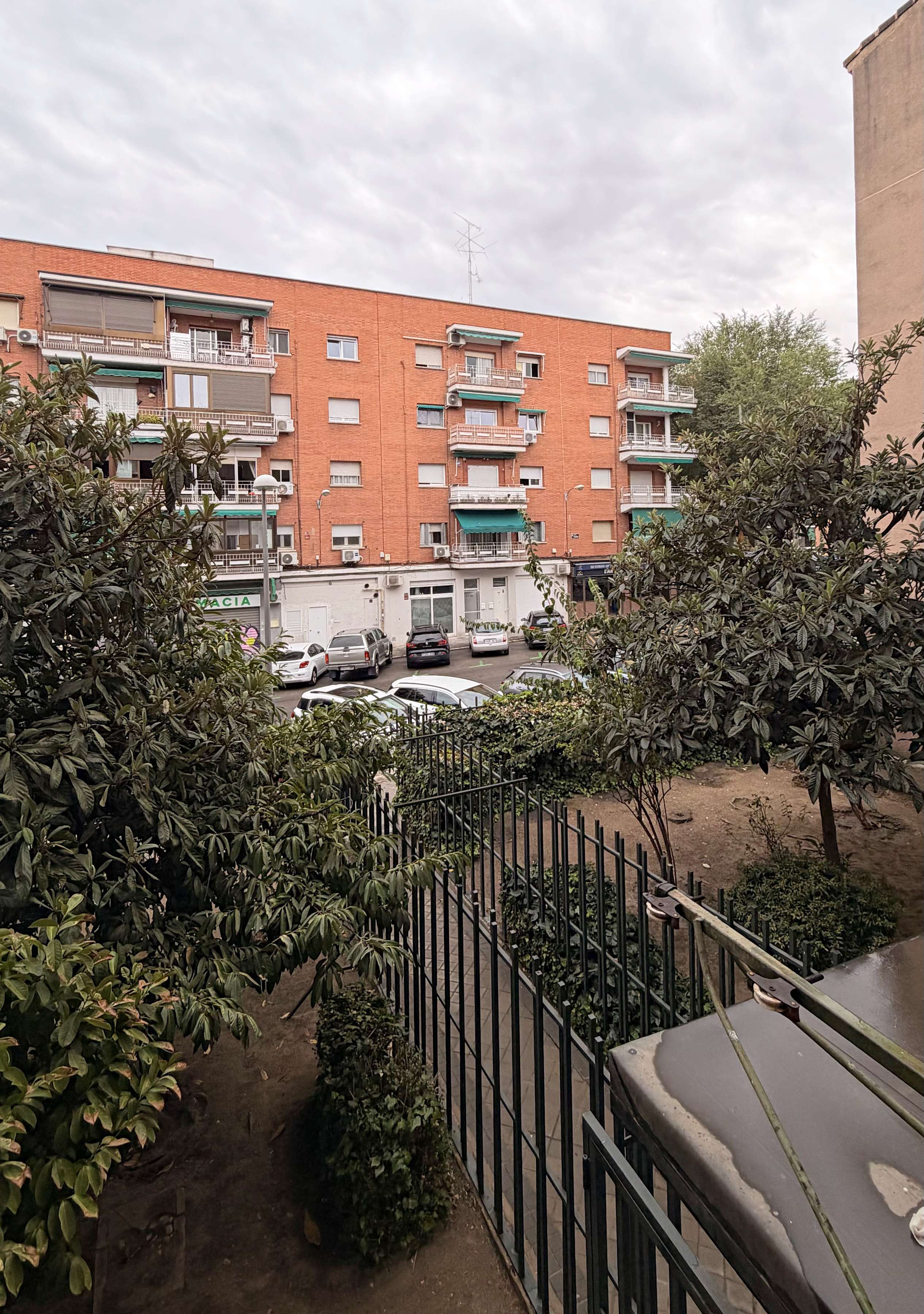 Fotografía 11