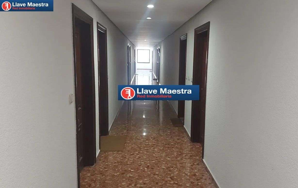 Fotografía 5