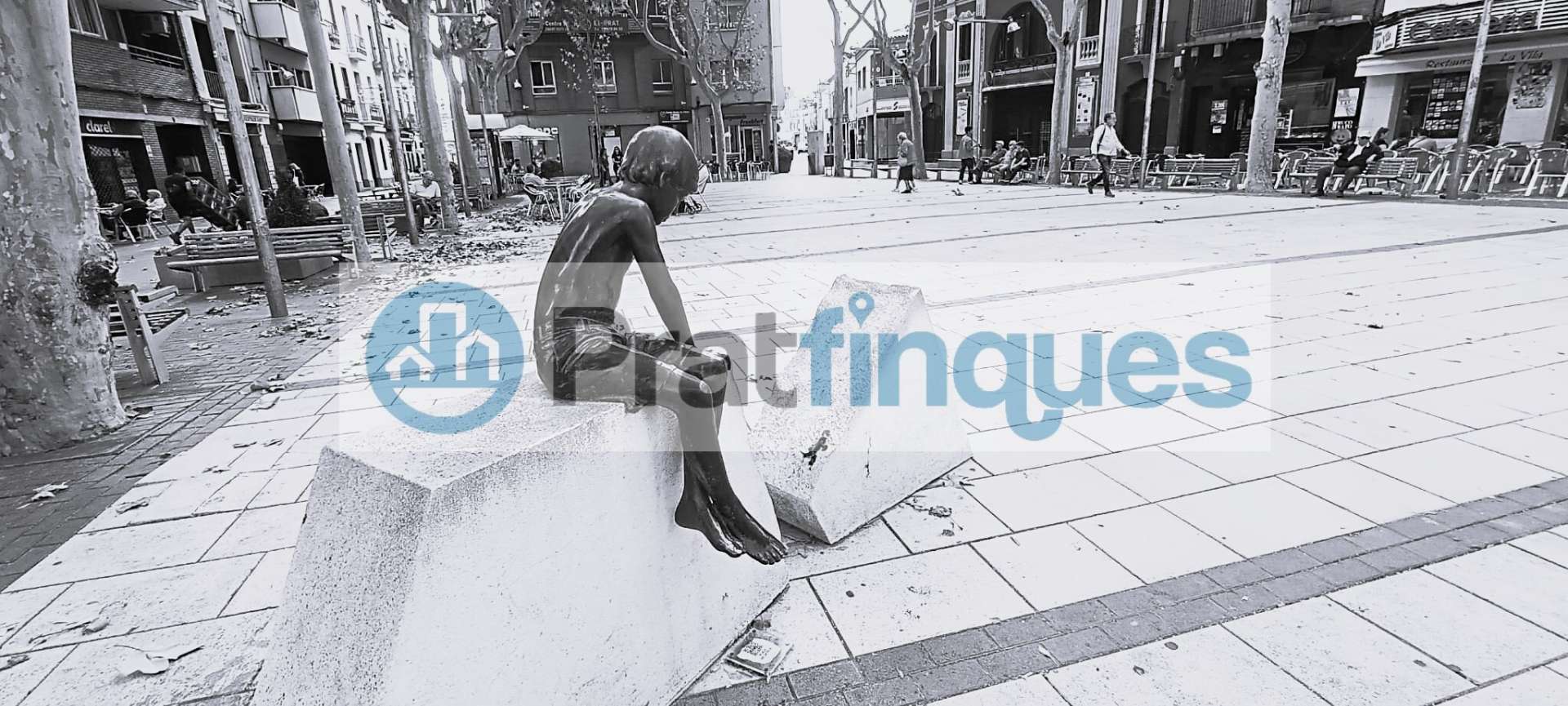 Fotografía 6