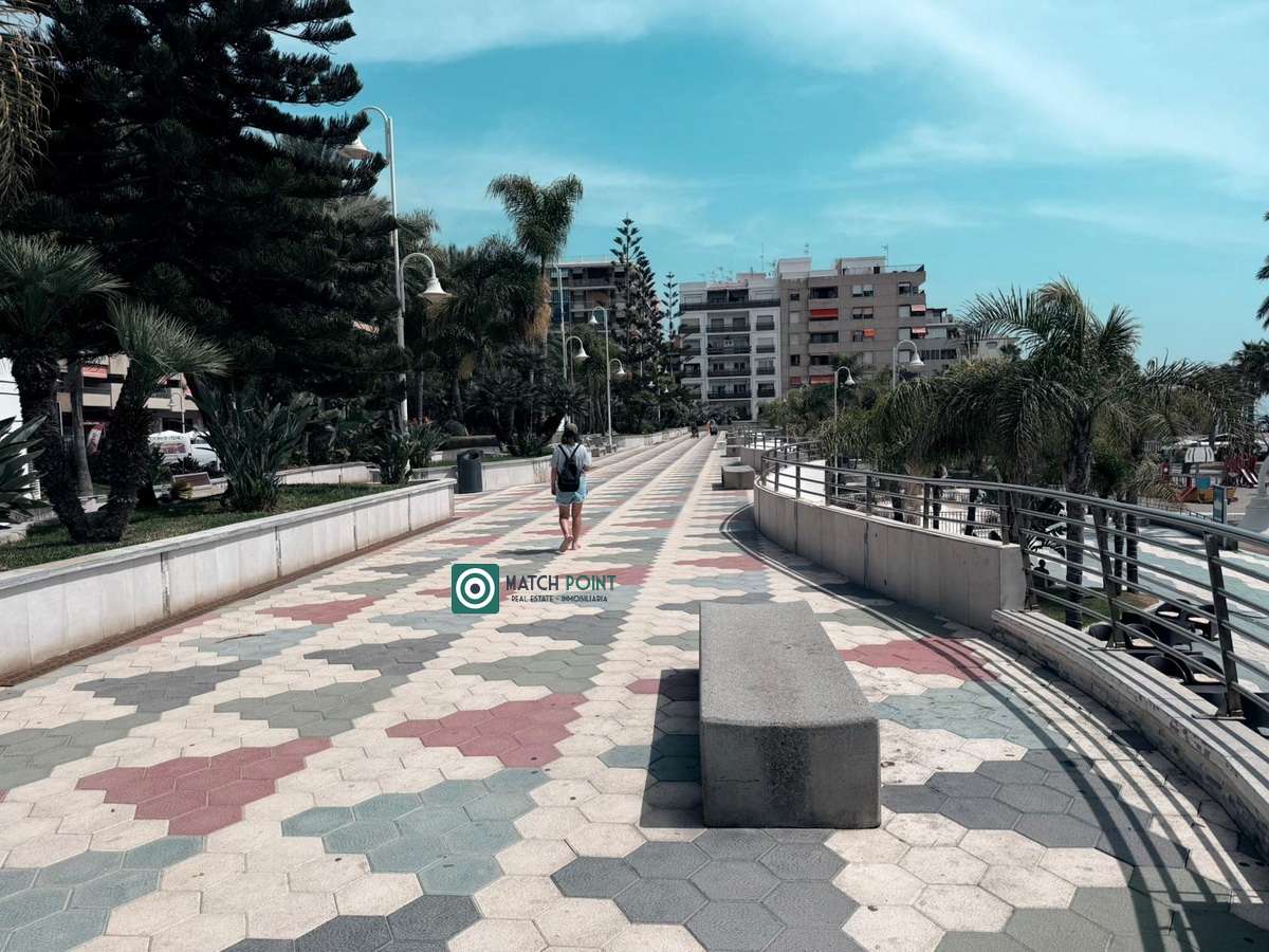 Fotografía 3