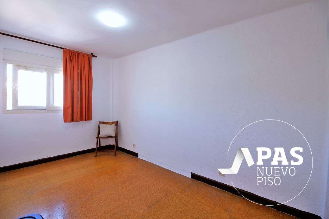 Fotografía 8
