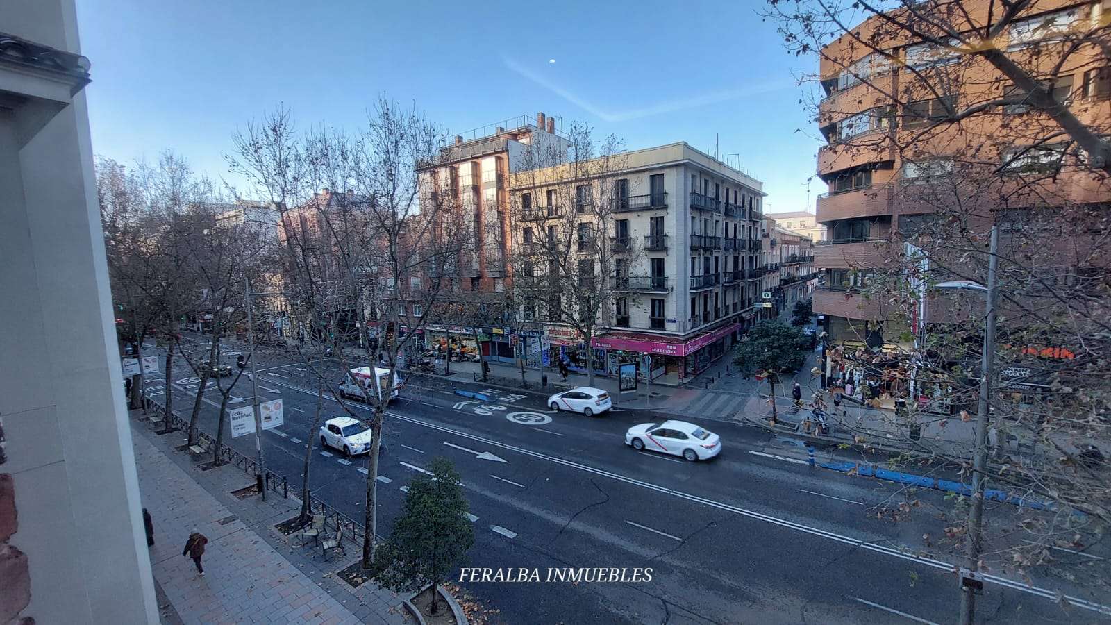 Fotografía 8