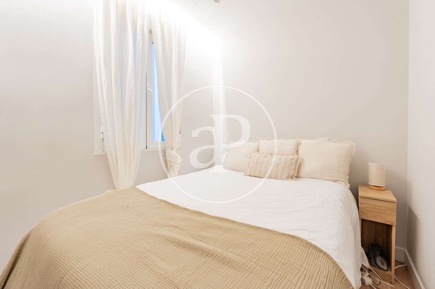 Fotografía 12