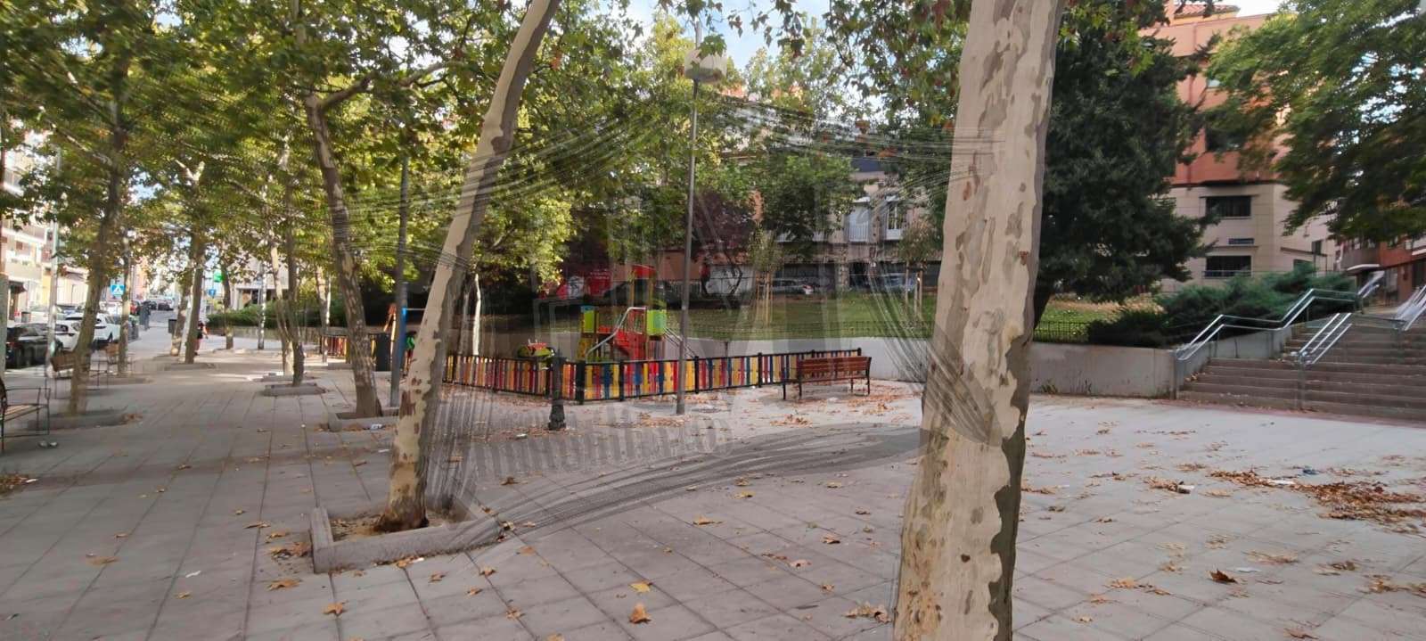Fotografía 5