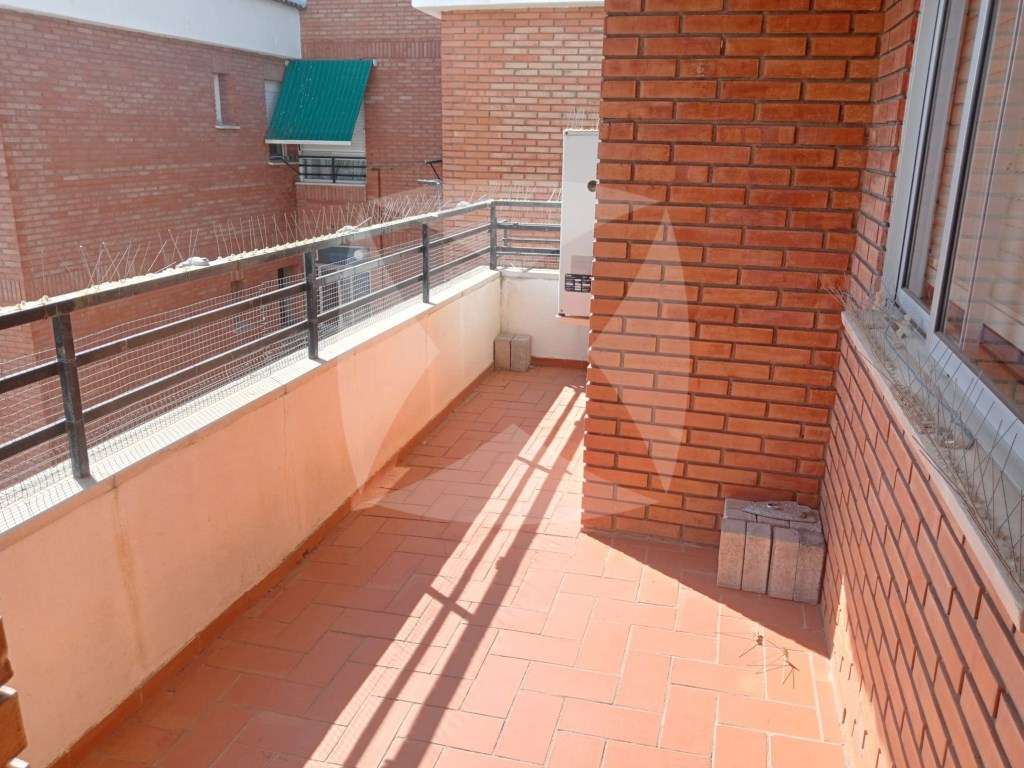 Fotografía 7