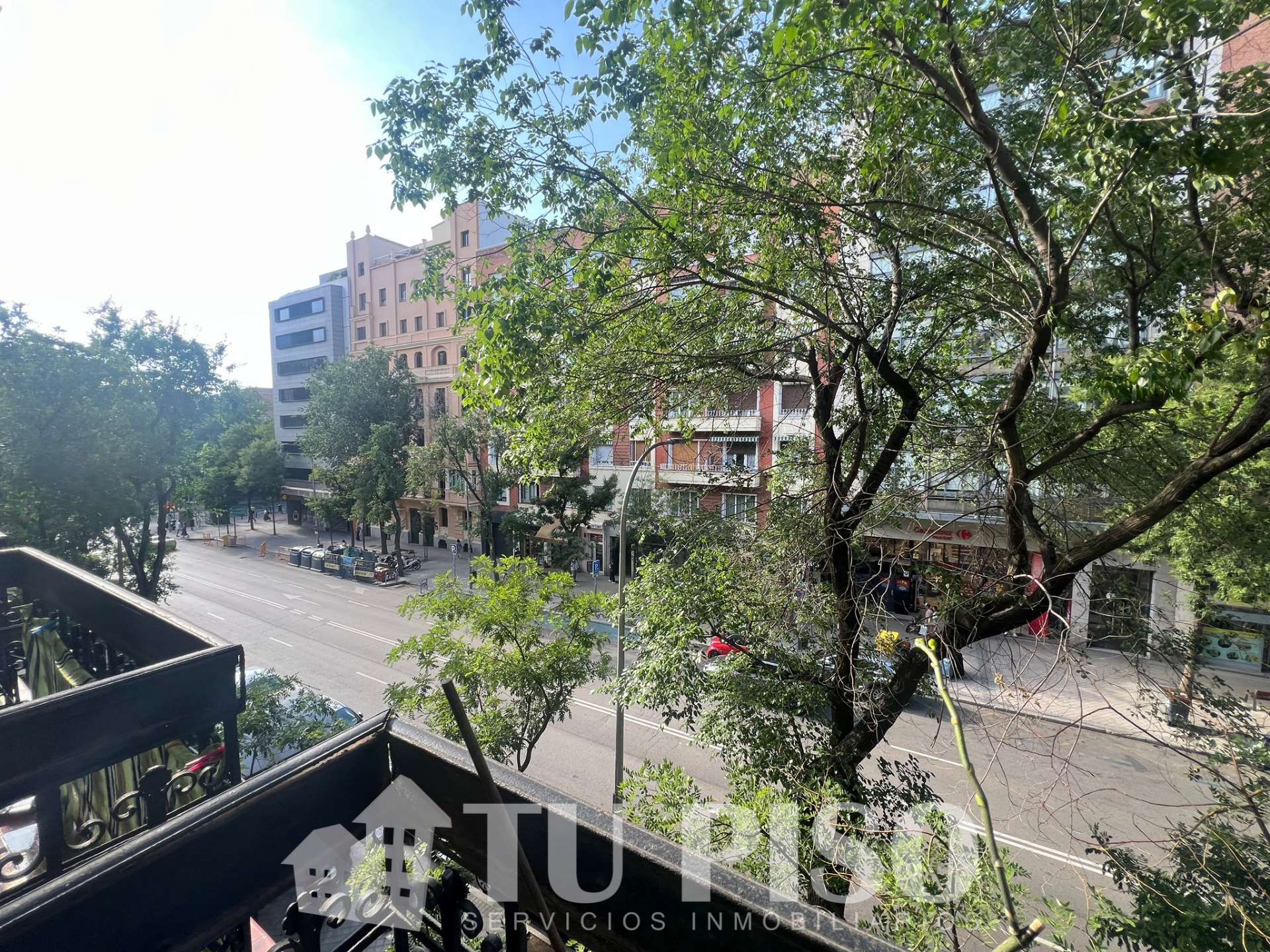 Fotografía 6