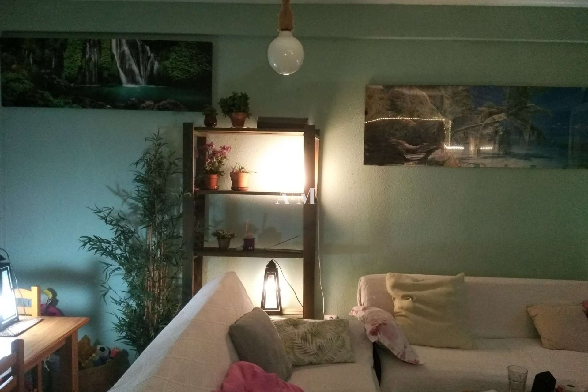 Fotografía del inmueble reportado: 650 €/mes — Torrevieja, Torrevieja