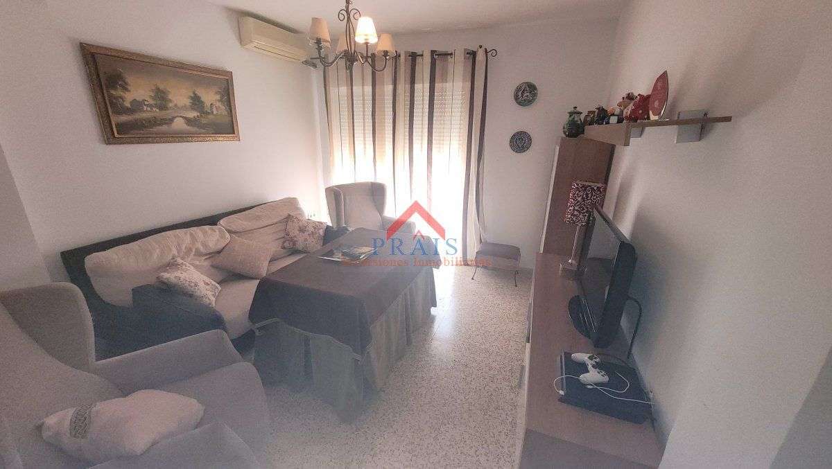 Fotografía 8