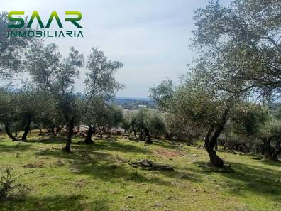 Viviendas en alquiler en Constantina. Alquiler de viviendas | Milanuncios