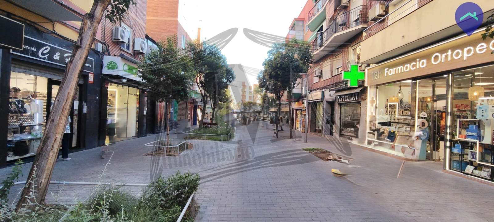 Fotografía 8