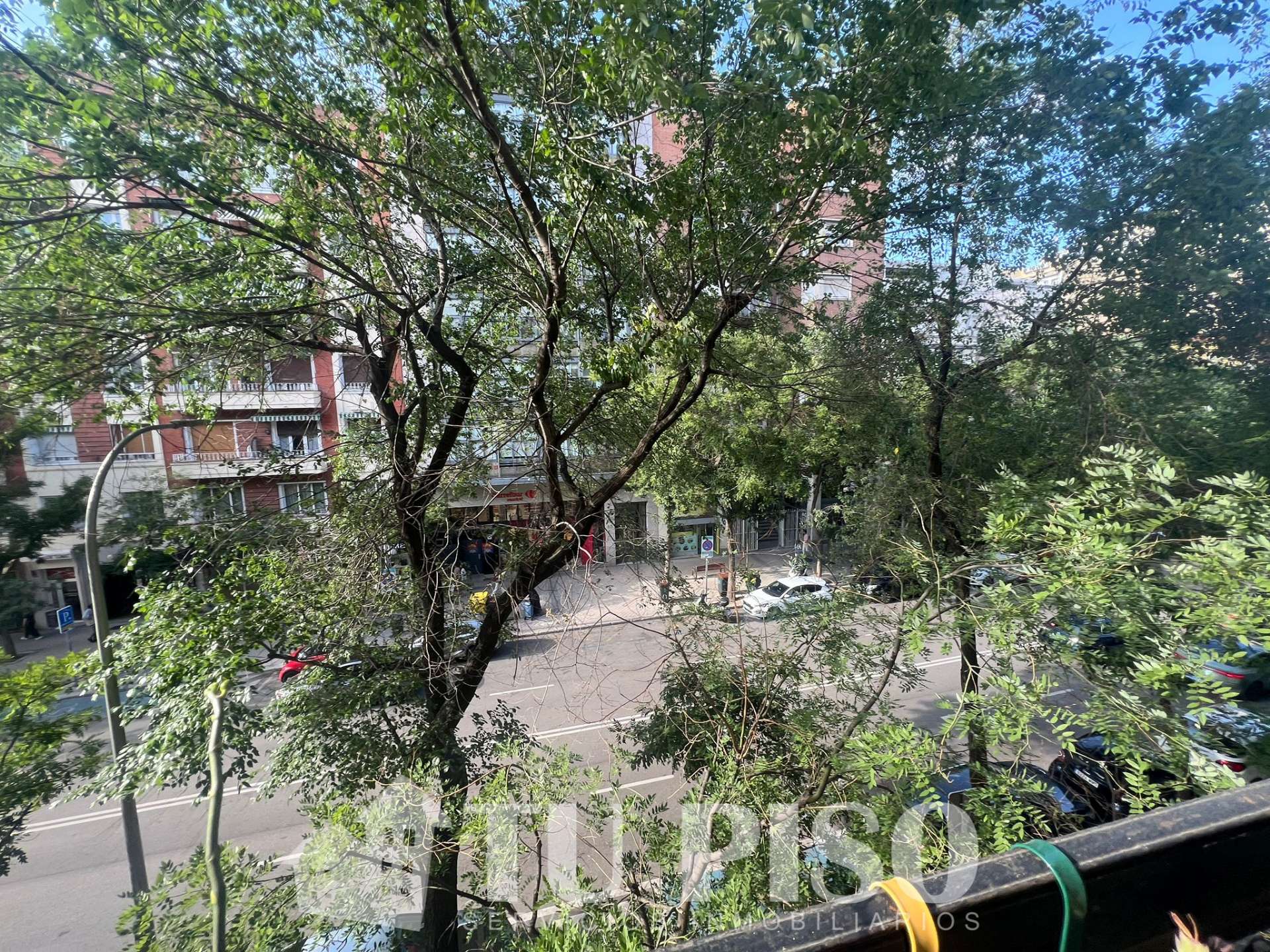 Fotografía 5