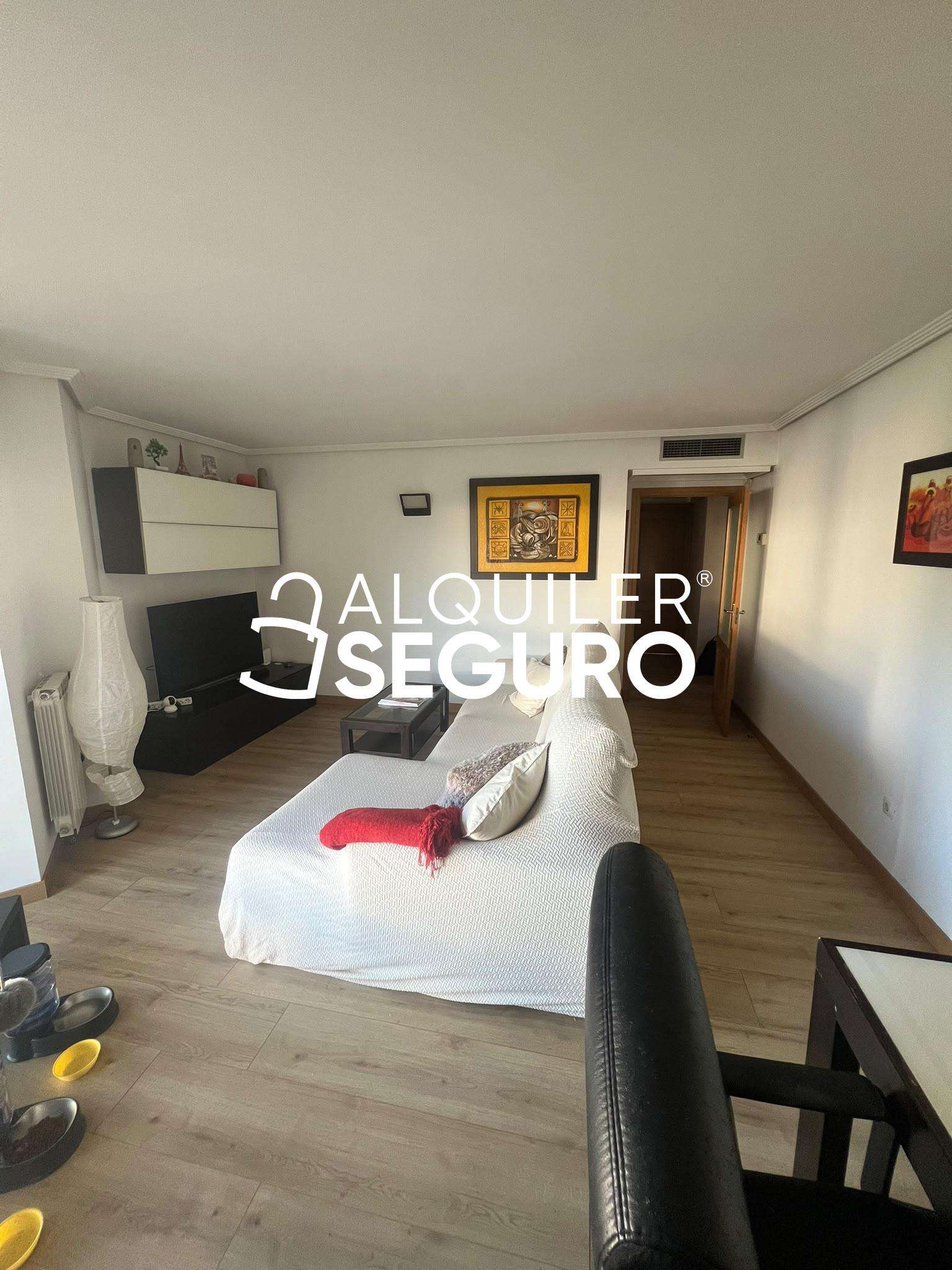 Fotografía 8