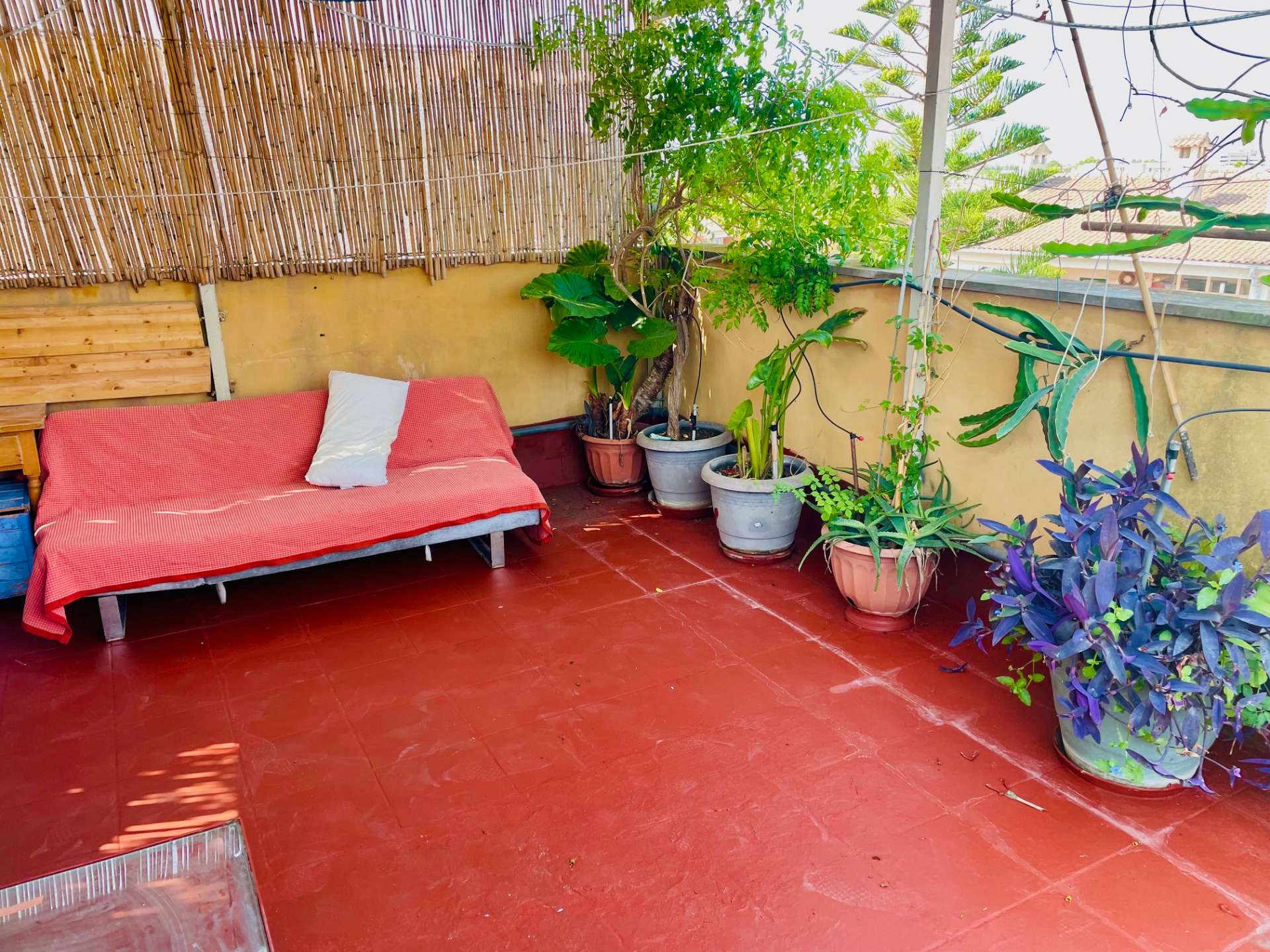 Fotografía del inmueble reportado: 1.750 €/mes — Palma de Mallorca, Palma de Mallorca