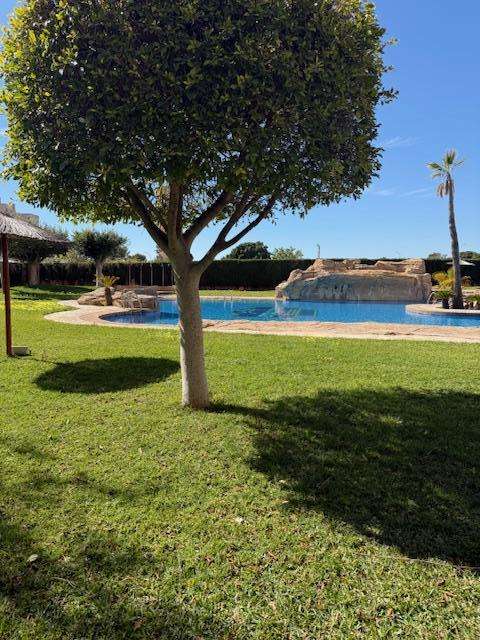 Fotografía del inmueble reportado: 1.300 €/mes — El Campello, El Campello