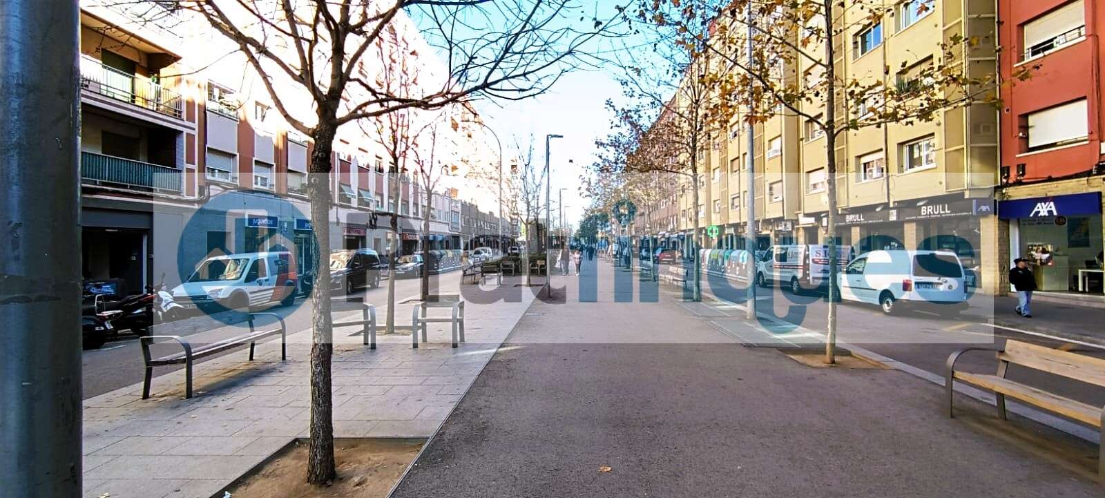 Fotografía 10
