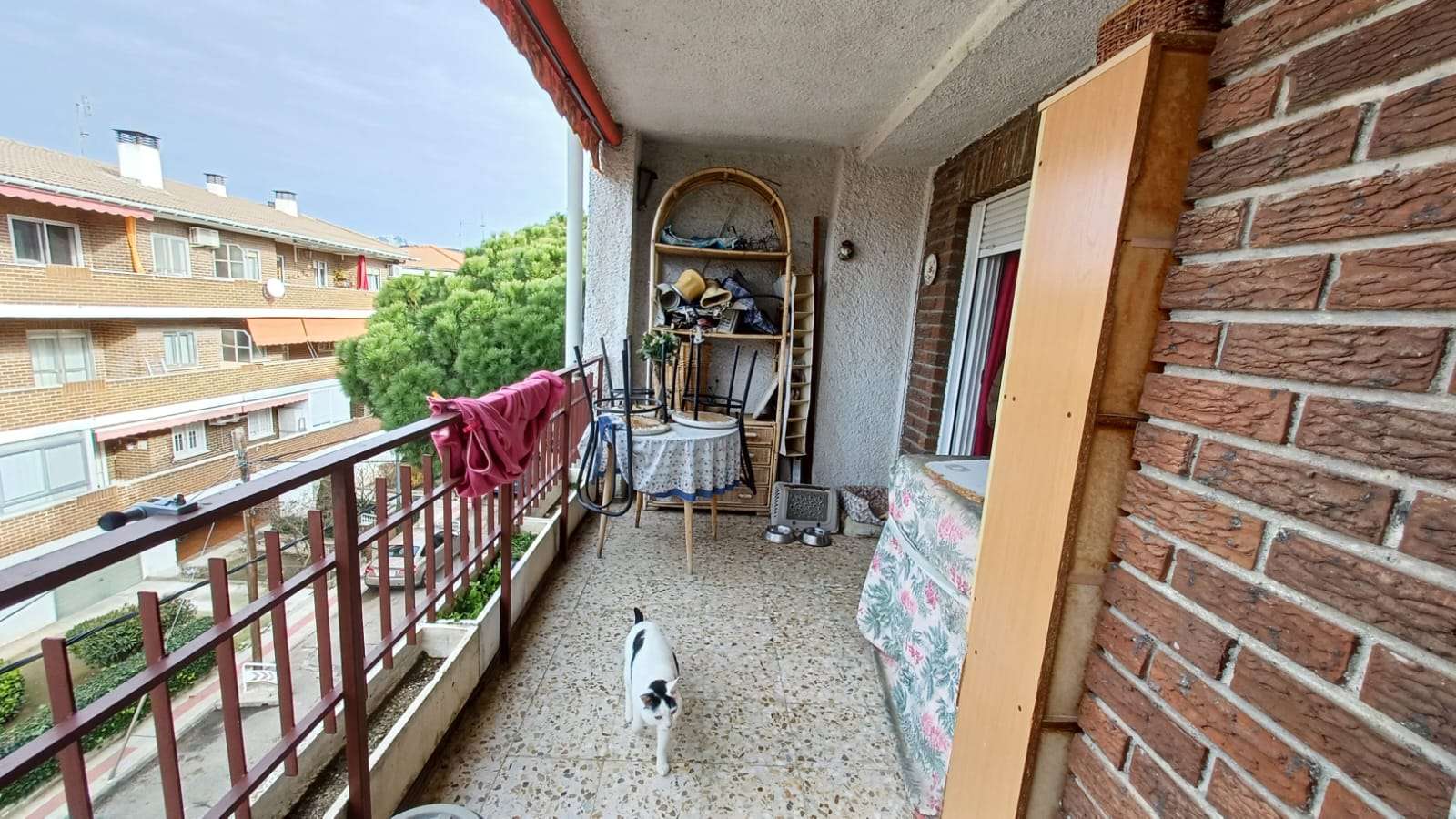 Fotografía 8