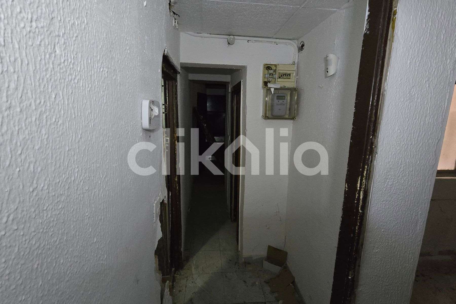 Fotografía 5