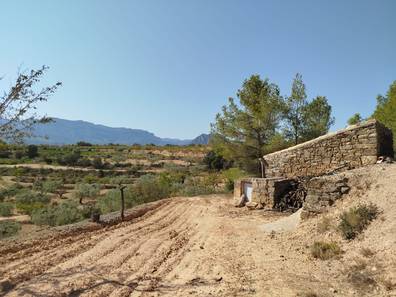 Terrenos en venta y alquiler en Horta de Sant Joan. Comprar, vender y ...
