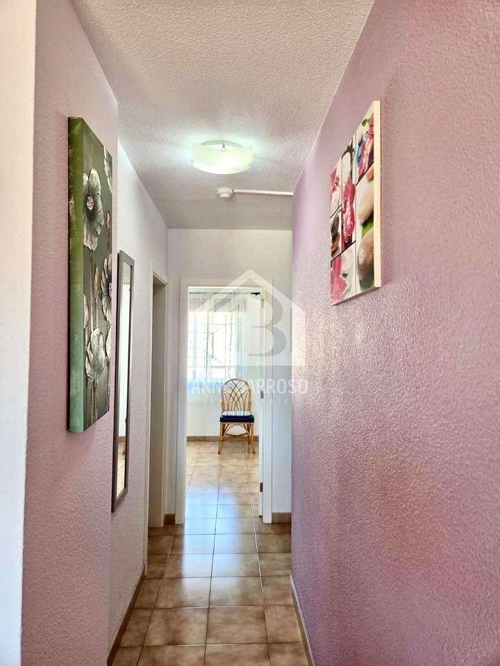 Fotografía 11