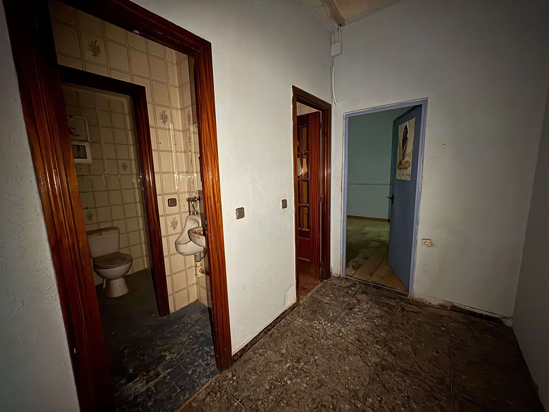 Fotografía 12