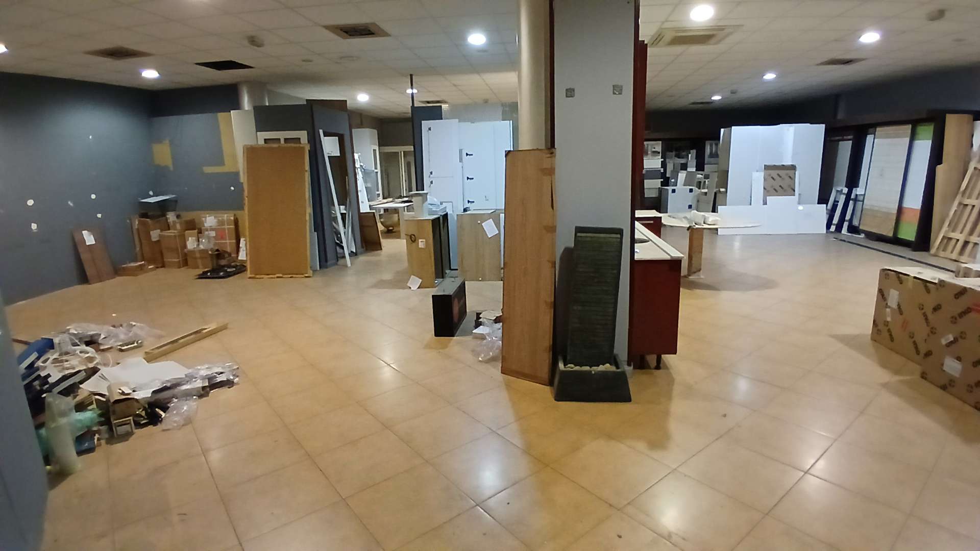 Fotografía 12