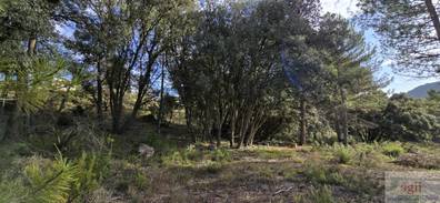 inmobiliaria-comprar-vender-o-alquiler-de-imbuebles-en-trillo