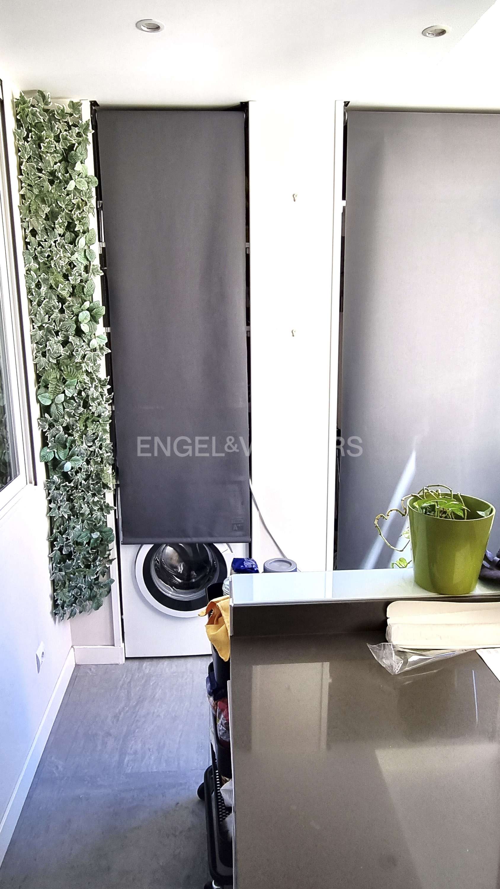 Fotografía 8