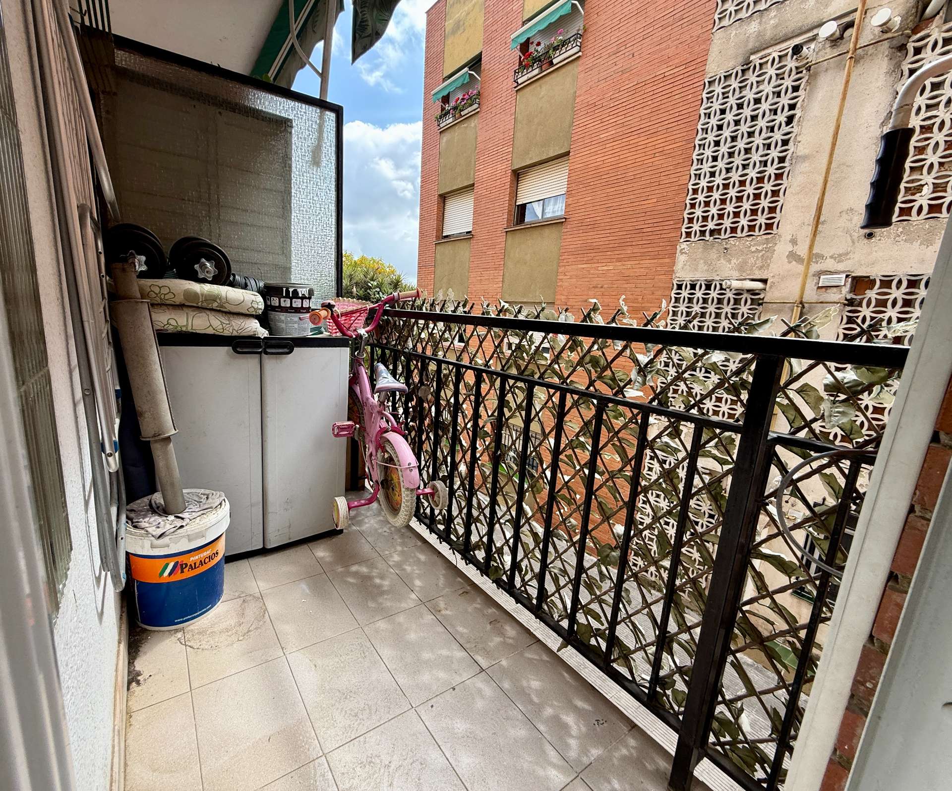 Fotografía 3