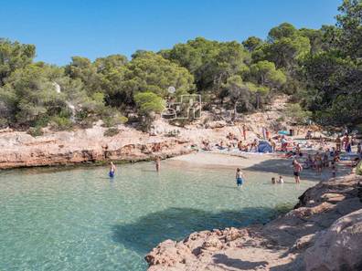 inmobiliaria-comprar-vender-o-alquiler-de-imbuebles-en-sant-antoni-de